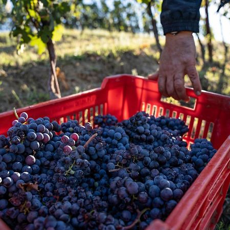 Agriturismo Antichi Poderi Gallina ネイヴェ エクステリア 写真