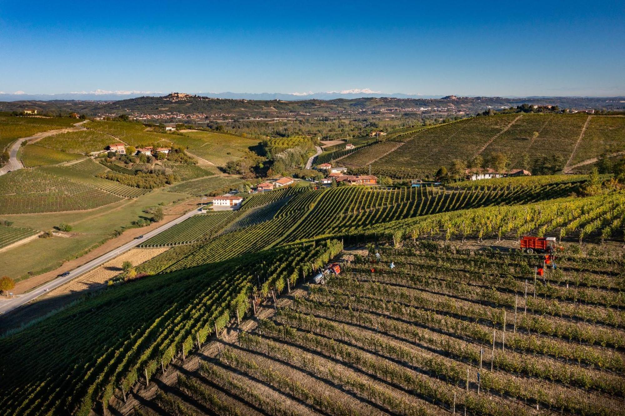 Agriturismo Antichi Poderi Gallina ネイヴェ エクステリア 写真